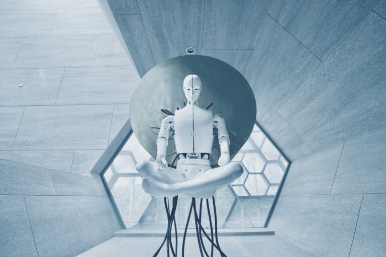 Domácí roboti v praxi